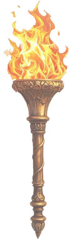 Torch Overlay